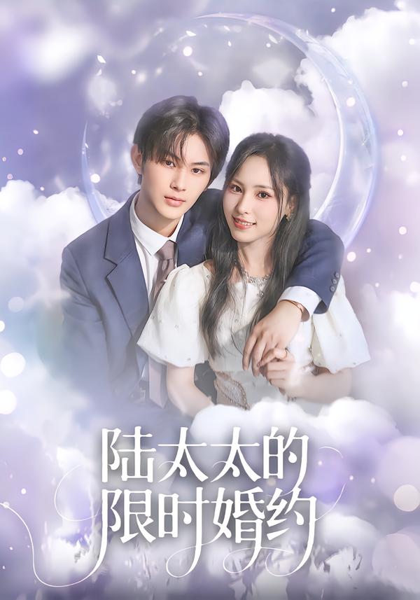 陆太太的限时婚约