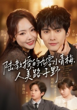 陆教授的九零小青梅，人美路子野