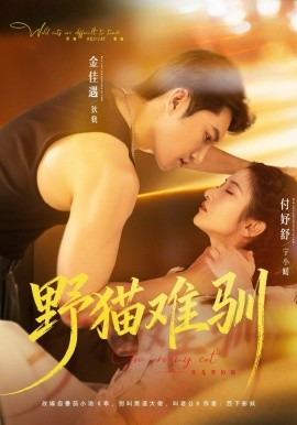 野猫难驯