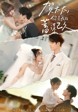 贺太太，你是我的蓄谋已久